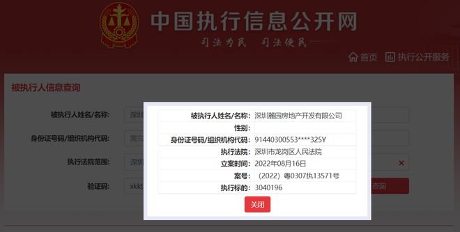 頤安集團旗下麓園地產被列為被執行人，執行標的304萬元，涉及投資興辦實業